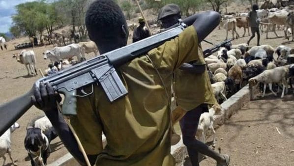 Enugu: Police arrest herder, recover AK-47