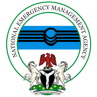 Probe panel uncovers rots in federal agencies as Boko Haram crisis exposes NEMA