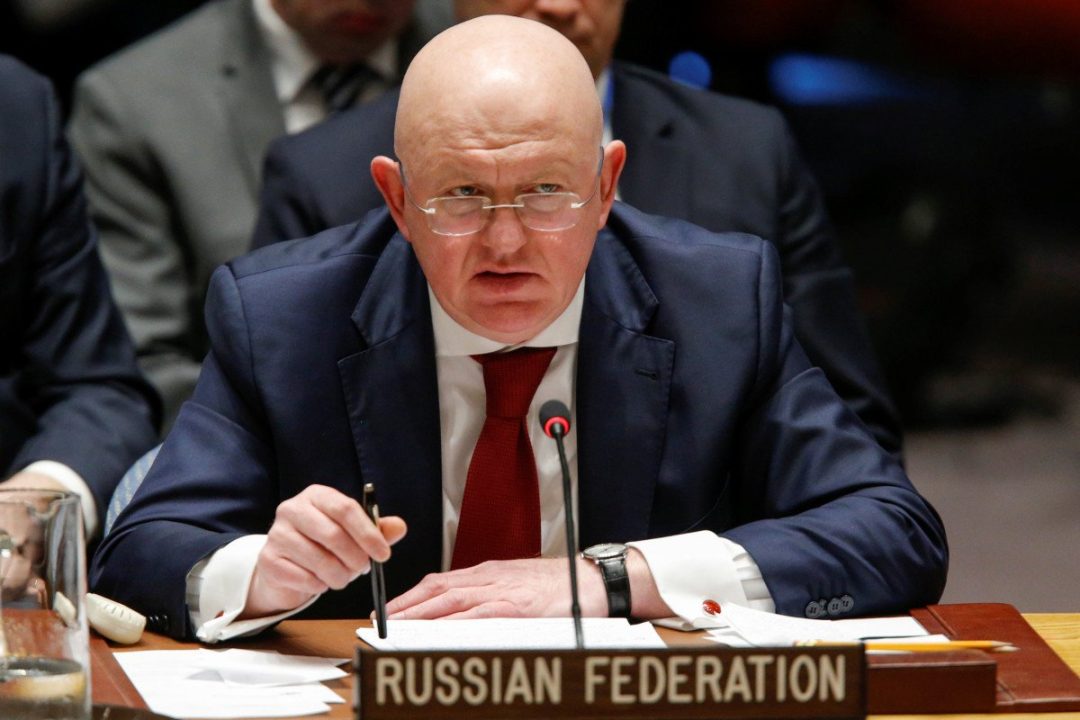 UN Security Council votes down Russia proposal to condemn Syria strikes