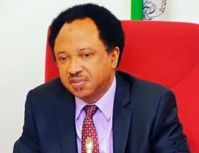 APC senator comes down heavily on Buhari’s $1billion military fund