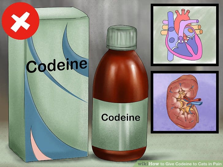 Perspective | Banning codeine in APC