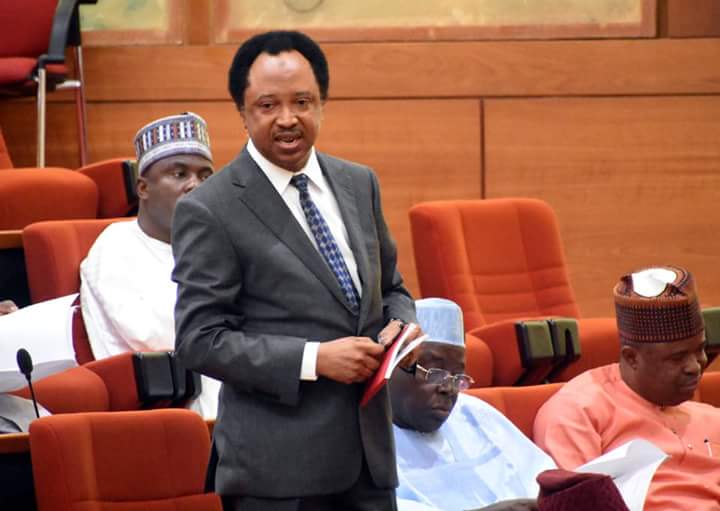 Shehu Sani declares today’s Kaduna LG polls a sham and charade