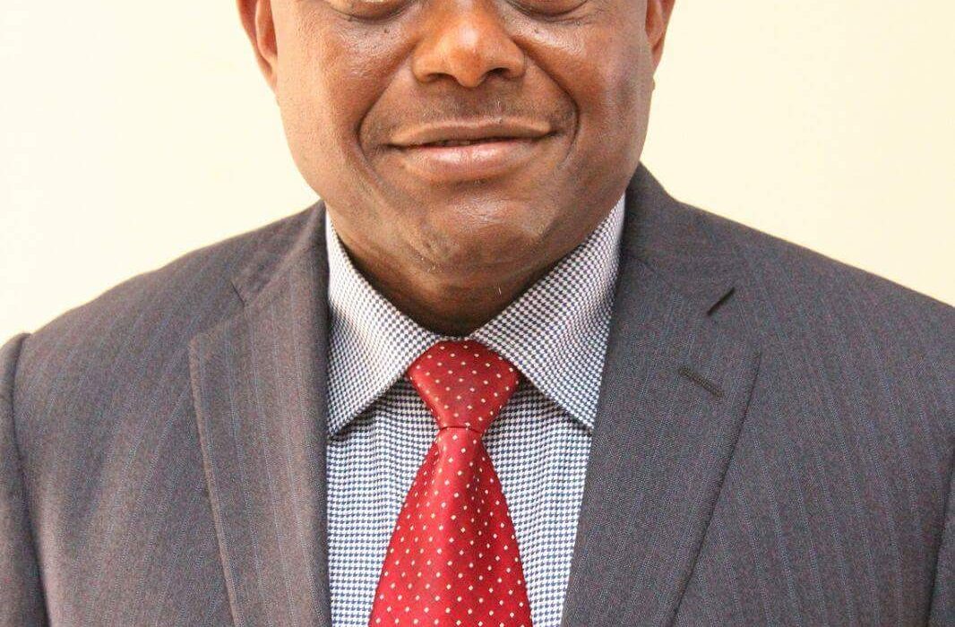 Opinion | The Real Enemies of the Niger Delta Region