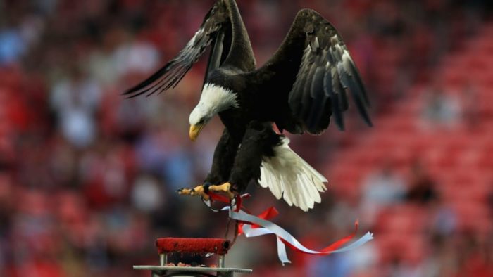 Luck harvest as Super Eagles stay in the Russian city of Eagle