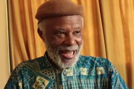 Perspective | Why Alaigbo will never develop or be liberated under the ‘1999 Constitution’ — Prof. Chinweizu