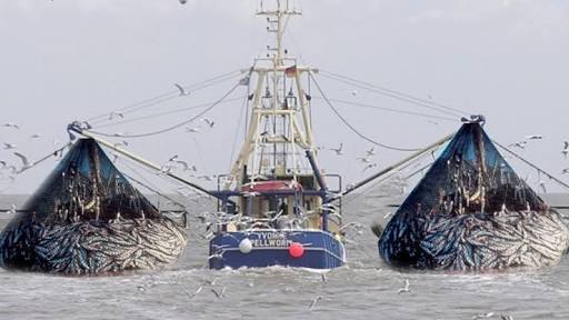 Illegal fishing ‘sacks’ 760m people, rips-off $23bn