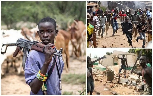 Analysis | The Unseen Dynamics Driving The Grazing Route Bloody Campaign