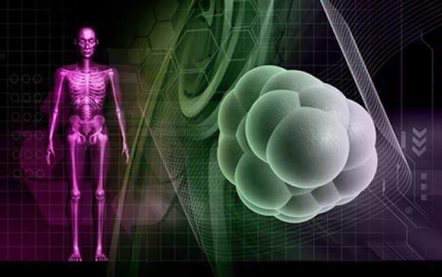 Scientists confirm diabetes link with cancer