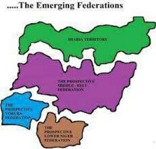 Analysis | Nigeria In Transition: A Peep Into The Workings Of The LNC Referendum Template