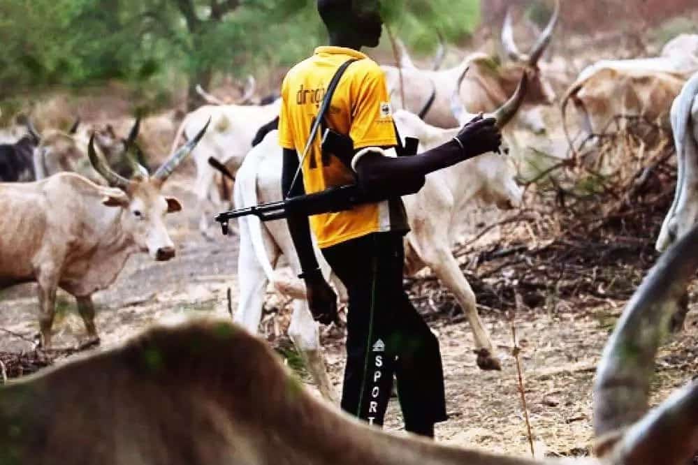 PDP Gives Buhari 24 hours to Arrest Miyetti Allah Leaders