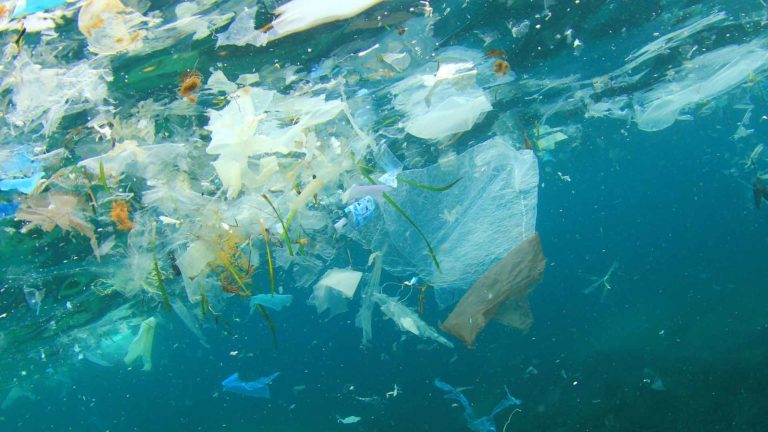EU Parliament Propose Ban Of Single-used  Plastic Products