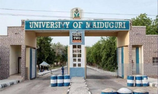 NANS Mourns As 11 UNIMAID Students Die In Road Accident