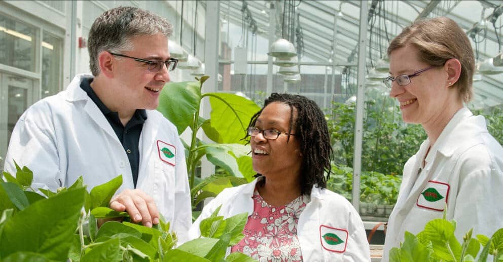 FAO Boss Pushes For Renewed Agro Research Efforts