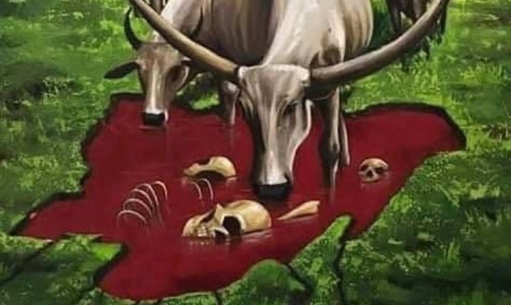 Who Speaks For The Yorubas In The Killing Field Of Nigeria Today. (1)