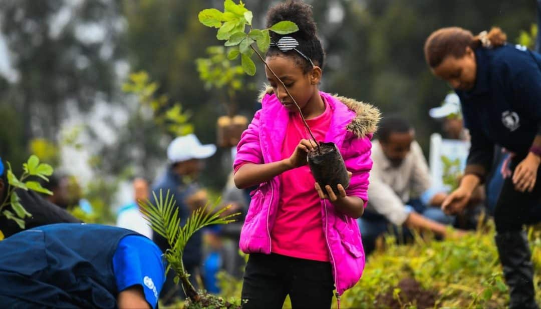 To Boost Green Legacy, Ethiopia Initiates 4 Billion Tree-planting Programme