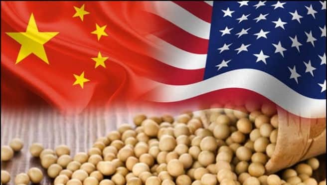 U.S.-China Trade War Cripples Soybeans