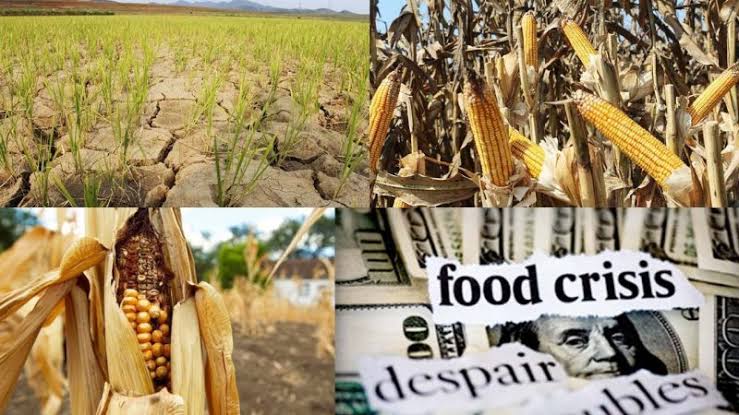 FAO Chief To African Leaders: Learn From Japan How To Tackle Your Worse Food Crisis