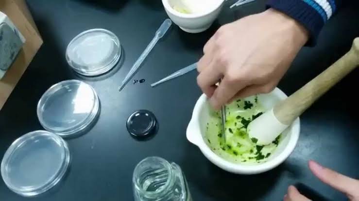 Antimicrobial Resistance Is A Major Global Health Challenge, Expert Warns