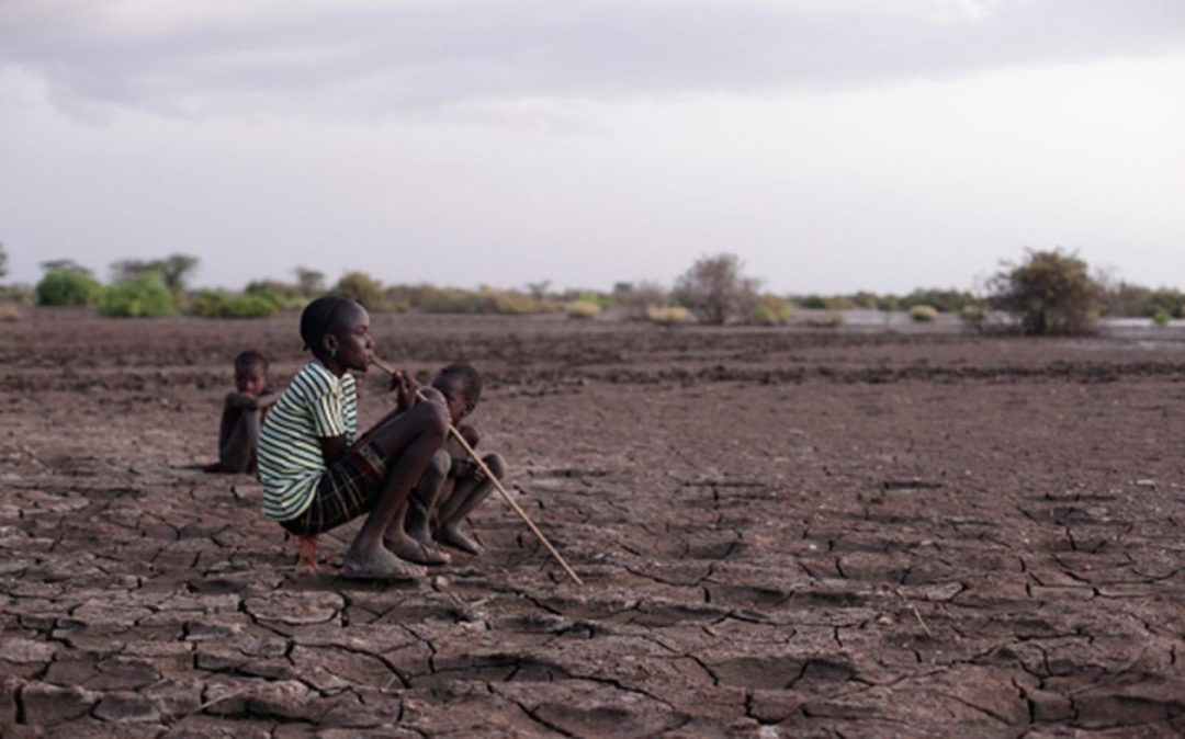 Conflict, Drought Displace 1.6 Million Persons In Ethiopia, UN Report Says