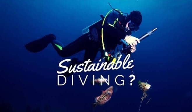 ISO Releases New Standards For Sustainable Diving To Keep Waters Clean