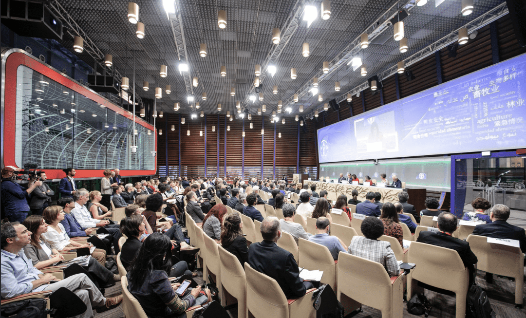 Africa Steals The Show At Future Policy Awards