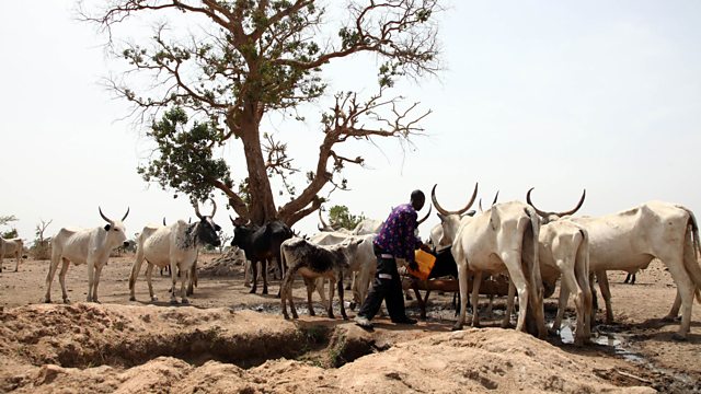 UN Moves To Assist Chad Manage Its Border As Herders’ Movements Fuel Clashes