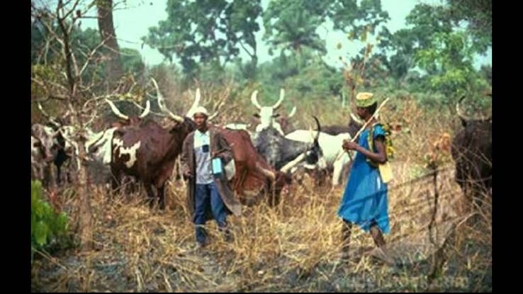 Yoruba Forests Host 1,123 Cells Of Armed Fulani Herdsmen – Oodua Group