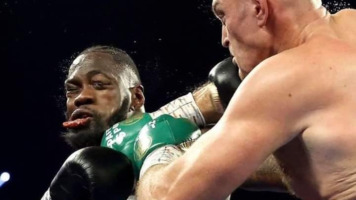 How Boxing Fan, Fani-Kayode Celebrated Fury’s Win Over Wilder