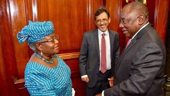 Opinion | Nigeria As The Incinerator Of Talents