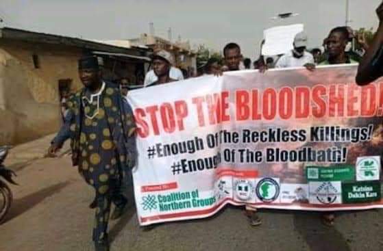 How the PDP characterized the harassment, arrest and detention of Katsina protest leaders.