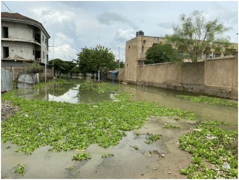 Flash Floods Sack 120000 People, Kill 10 In Chad: UN Agency