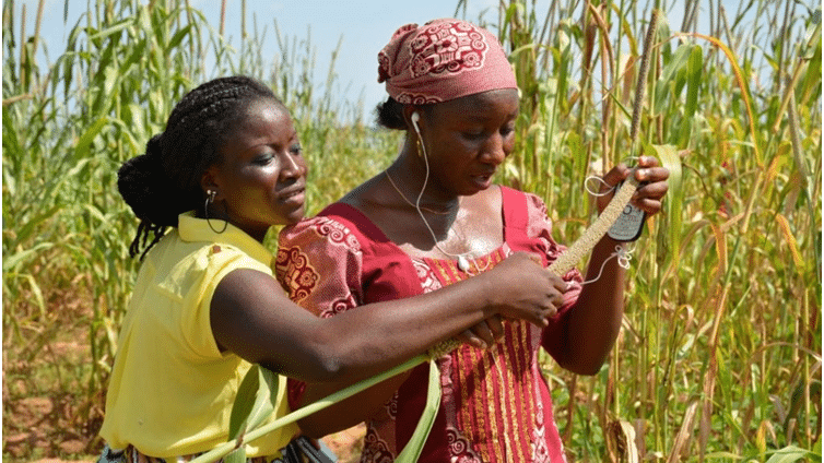 Africa: Involvement of youths in rural development, agric, solution to unemployment crisis, studies say