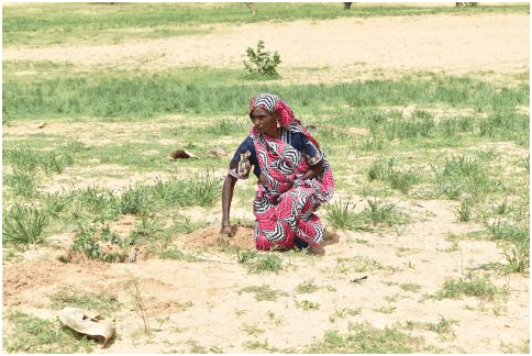 300,000 Set To Benefit From $8.00 Million Korea Aide Package in Chad