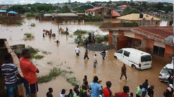 Pyrates Petition NEMA To Immediately Address Plight Of Flood Ravaged Communities Along The Orashi Area Of Rivers State