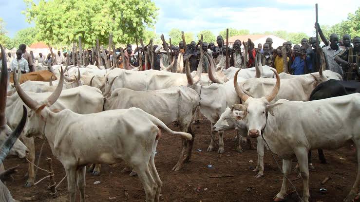 Buhari Showers Rain Of Cows On Officers, Corpers Before Departing Daura For Abuja
