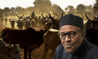 BREAKING: President Buhari approves review of grazing reserves in 25 states