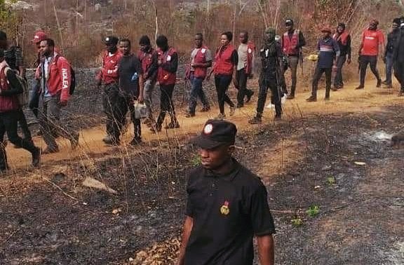 NDLEA Destroys 255 Hectares Of Cannabis Farms Despite Established Medical Usage