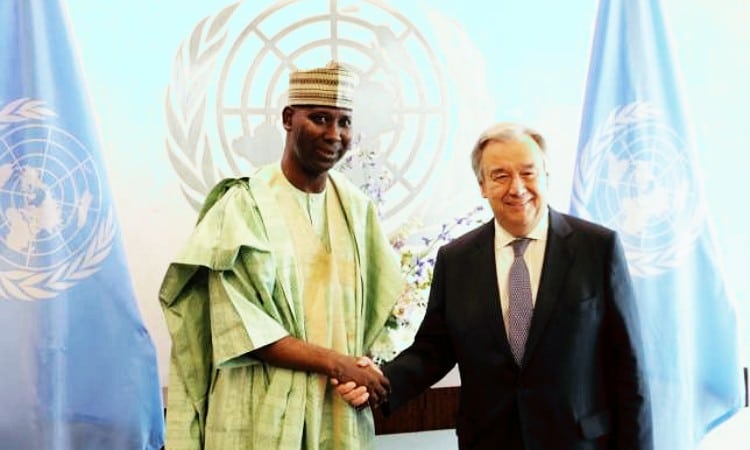 Meet Nigerians vying for UN committee seats as presented by Nigerian Ambassador to UN