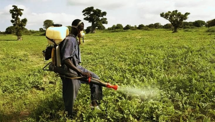 Why 65% pesticides in Nigerian market highly hazardous – Group
