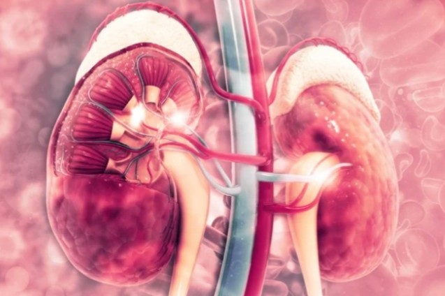 How To Prevent Chronic Kidney Diseases — Expert