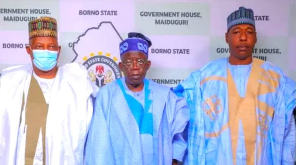 How Gov Zulum Reacted To News Of Tinubu’s Running Mate Pick, His Predecessor Shettima