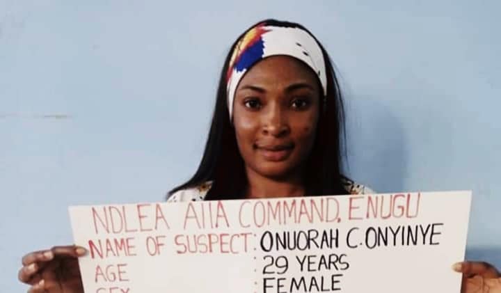 NDLEA Releases Pix Of 8 Suspects Arrested In Lagos, Abuja, Enugu Airports Cocaine Busts