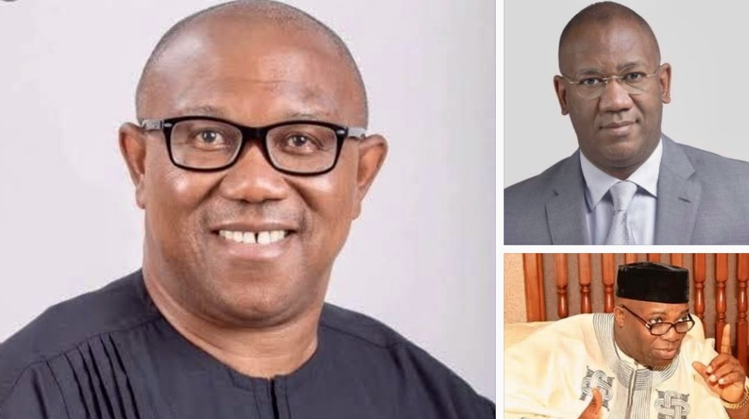 Opinion | Who Are These Obidients?