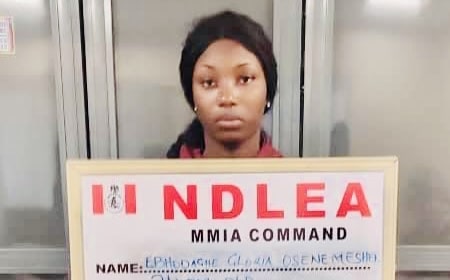 NDLEA Arrests 4 notorious trans-border traffickers in Adamawa, 51 in Kano