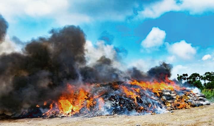 NDLEA Destroys 560,068kg Cocaine, Cannabis In Landmark Exercise In Lagos