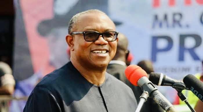 Diaspora Drive To Fund Campaign For Obi Frightens APC; Party Dispatches NIDCOM