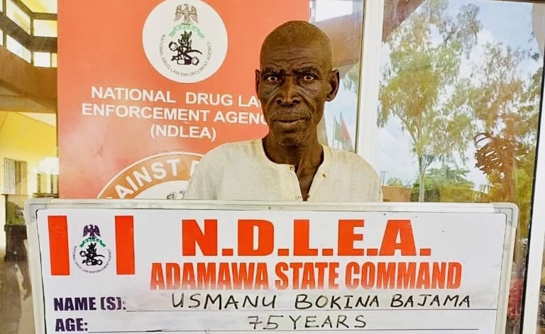 How NDLEA Arrested 75-Year-Old Man, 21 Others Over Tons of Illicit Drugs Seized in 7 States