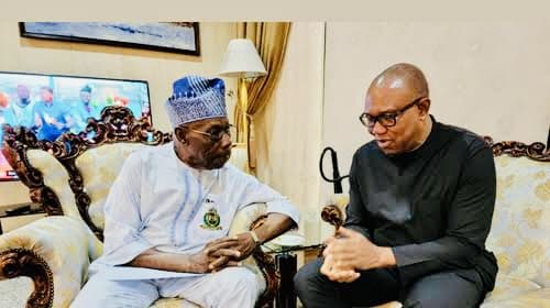 NINAS Likens OBJ’s Endorsement to Loading Stranded Passengers into Knocked Engine Vehicle