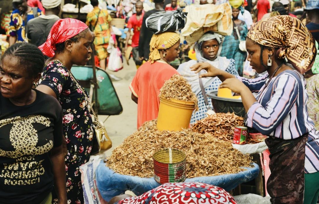 Nigeria Grapples with Economic Crisis as Currency Hits Record Low: Causes and Responses