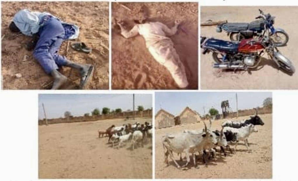 Nigerian Army Neutralizes Terrorists, Recovers Arms, and Cattle in Borno and Katsina Operations